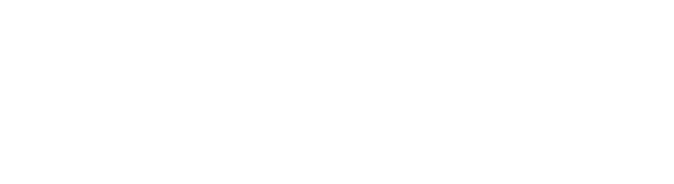 The Lipo Pen